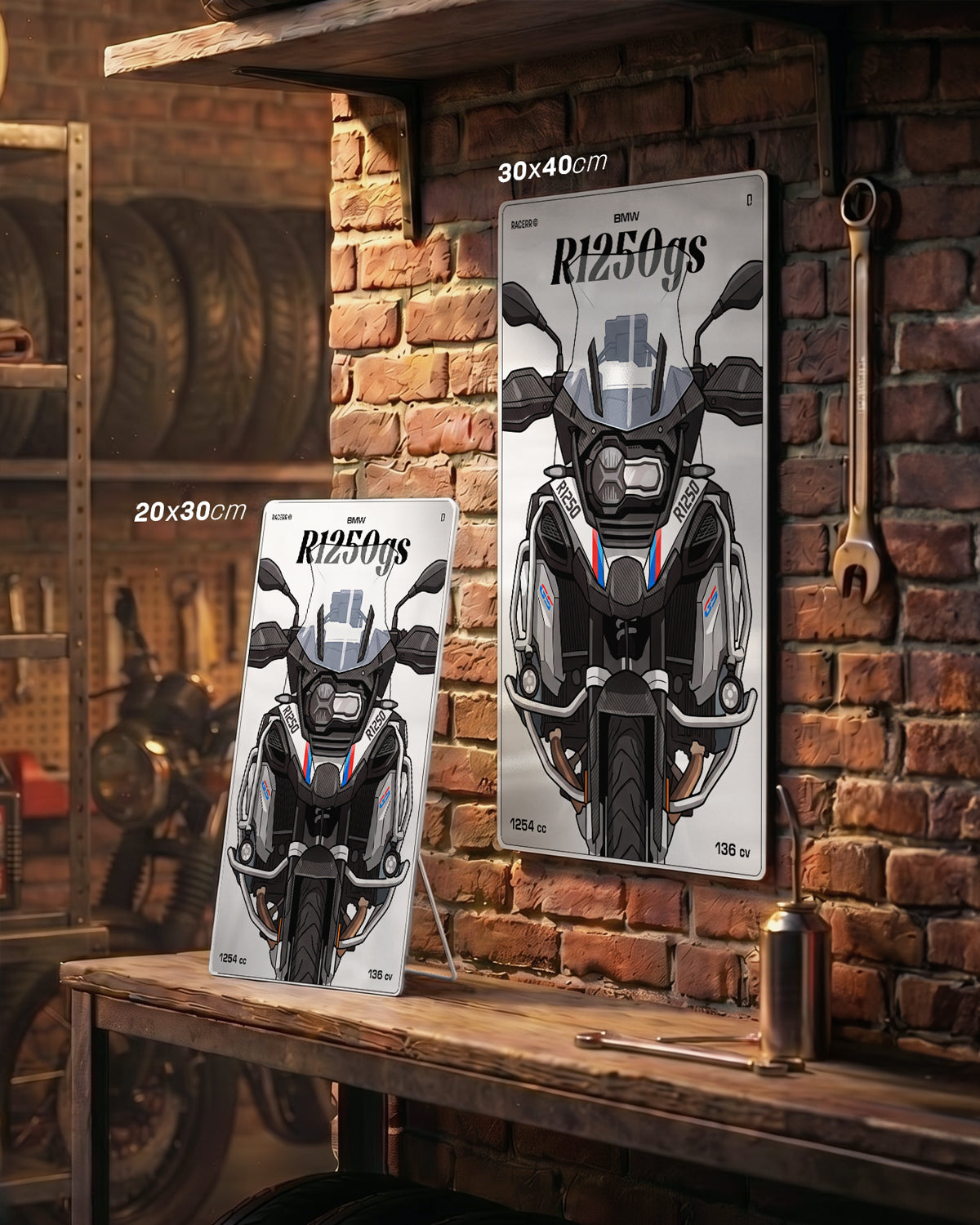 Targa "Cartoon" Bmw R1250gs [2019+]