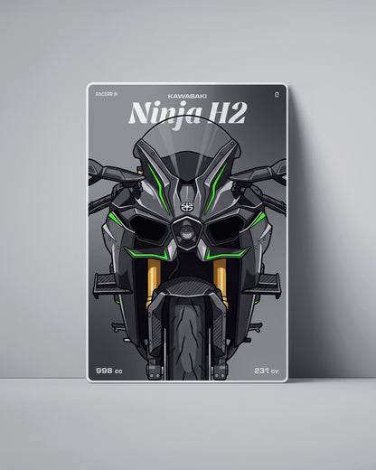 Targa "Cartoon" Kawasaki H2 [2015+]