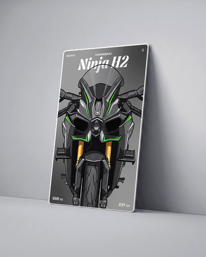 Targa "Cartoon" Kawasaki H2 [2015+]