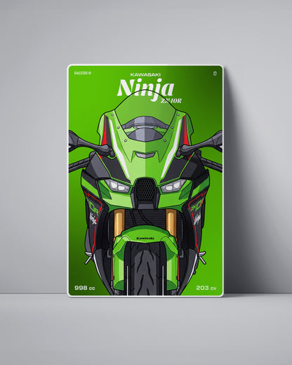 Targa "Cartoon" Kawasaki Zx10r [2021-2025]