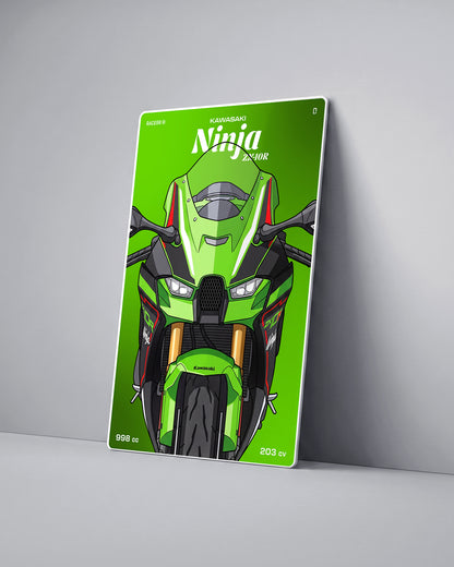 Targa "Cartoon" Kawasaki Zx10r [2021-2025]