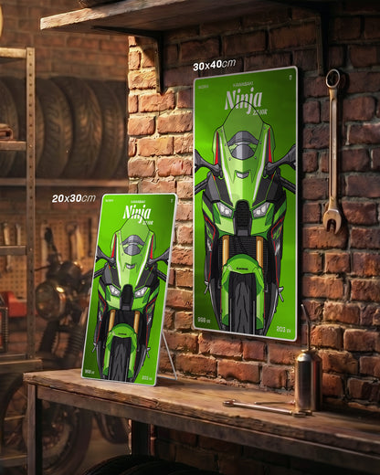 Targa "Cartoon" Kawasaki Zx10r [2021-2025]