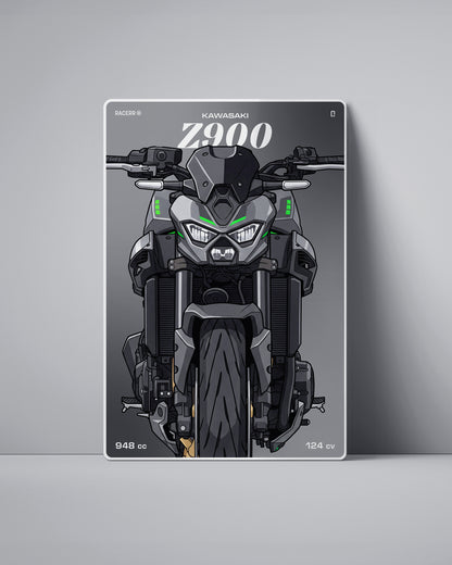Targa "Cartoon" Kawasaki Z900 [2025+]