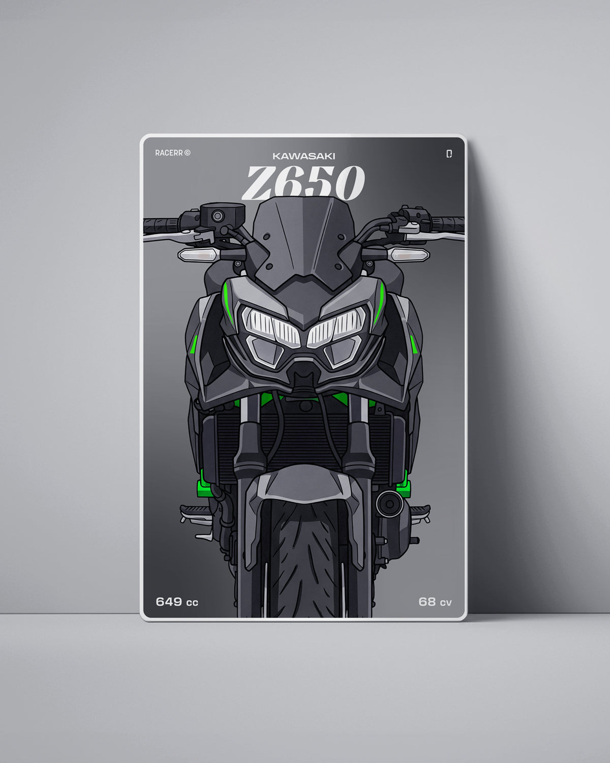 Targa "Cartoon" Kawasaki Z650 [2019+]