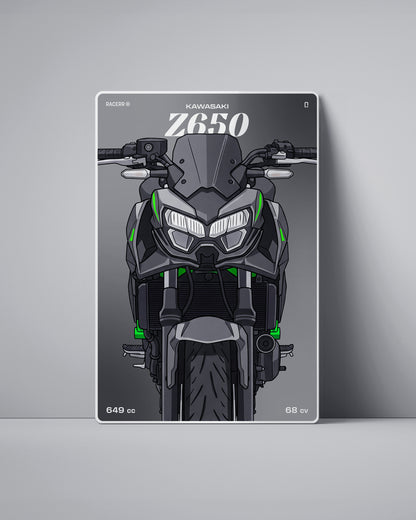 Targa "Cartoon" Kawasaki Z650 [2019+]