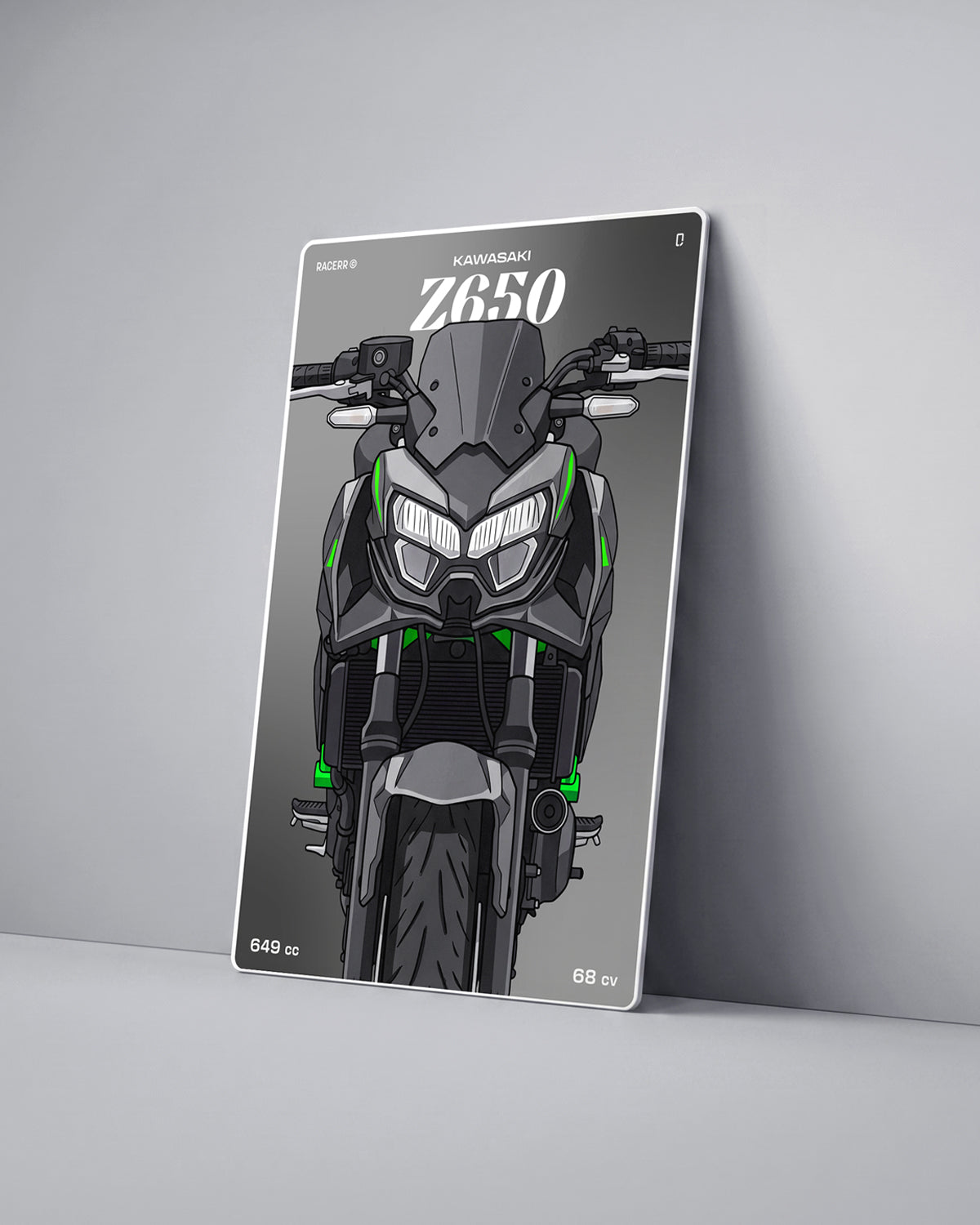 Targa "Cartoon" Kawasaki Z650 [2019+]