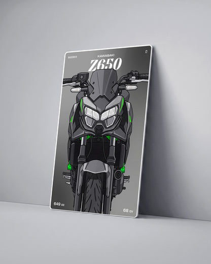 Targa "Cartoon" Kawasaki Z650 [2019+]