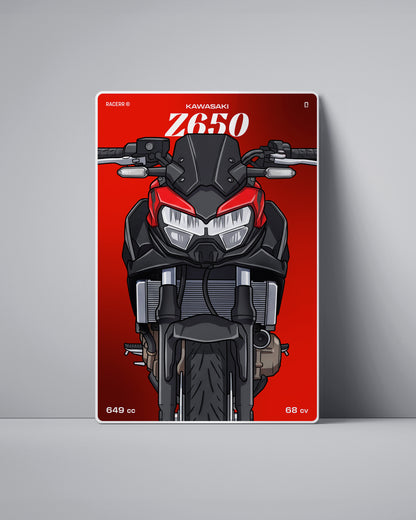 Targa "Cartoon" Kawasaki Z650 [2019+]