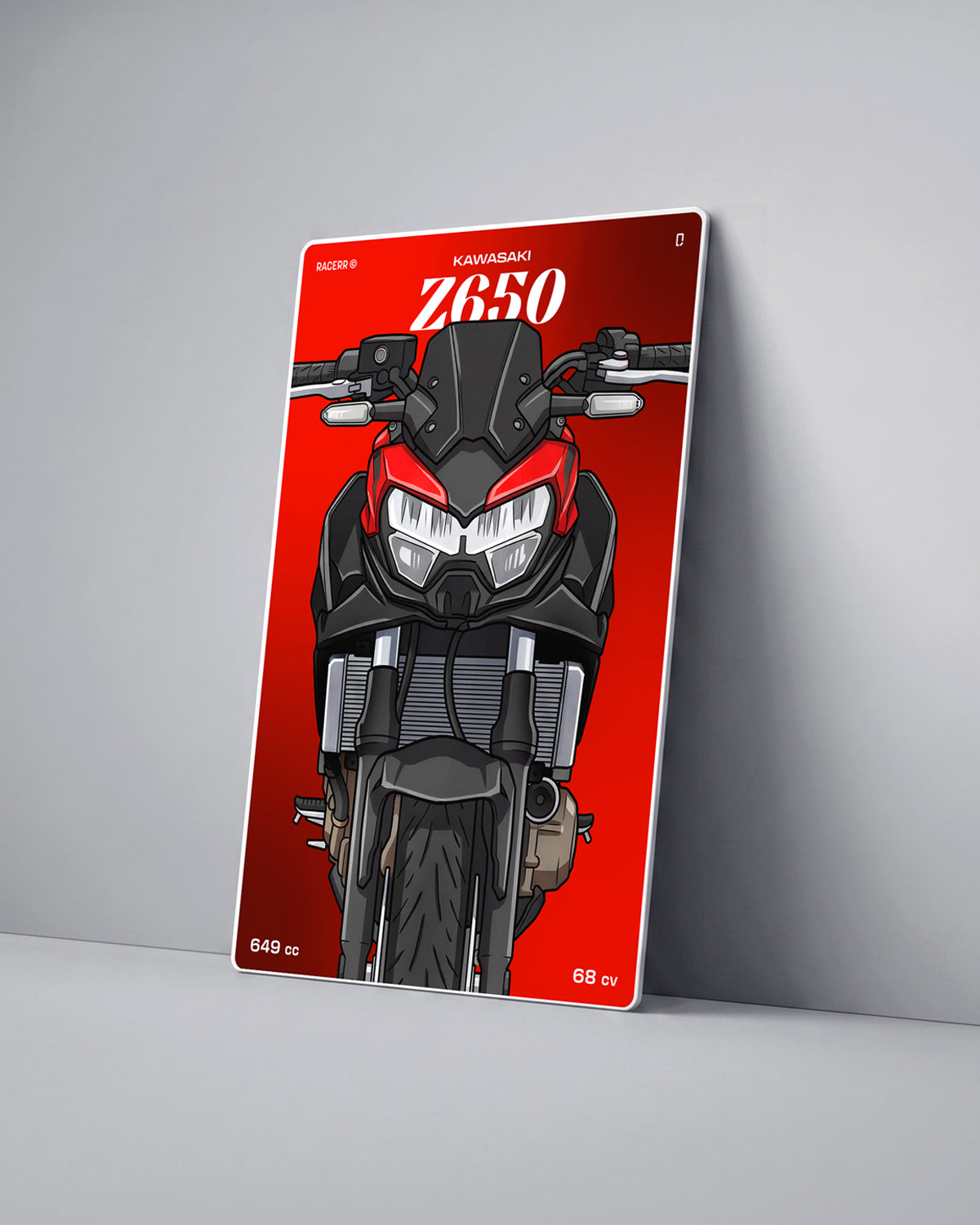 Targa "Cartoon" Kawasaki Z650 [2019+]