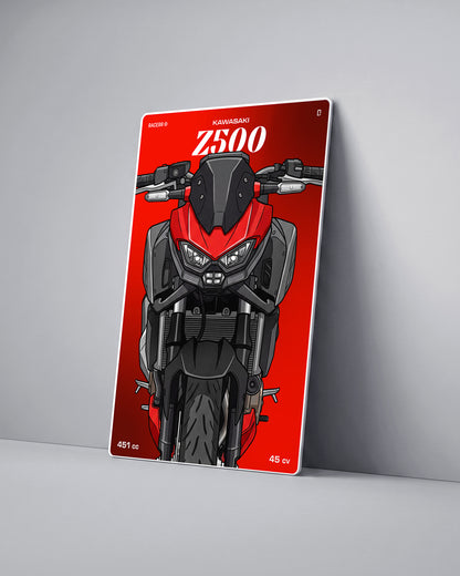 Targa "Cartoon" Kawasaki Z500 [2022+]