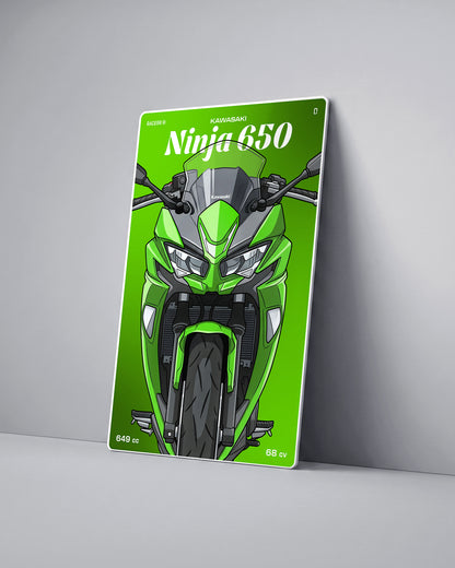 Targa "Cartoon" Kawasaki Ninja 650 [2018+]