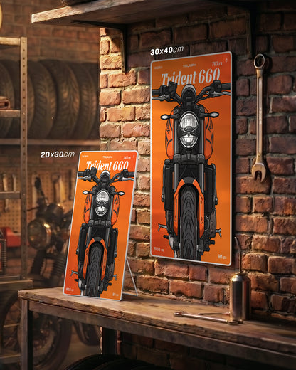 Targa "Cartoon" Triumph Trident 660 [2024+]
