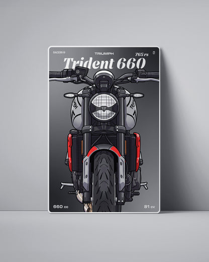 Targa "Cartoon" Triumph Trident 660 [2024+]