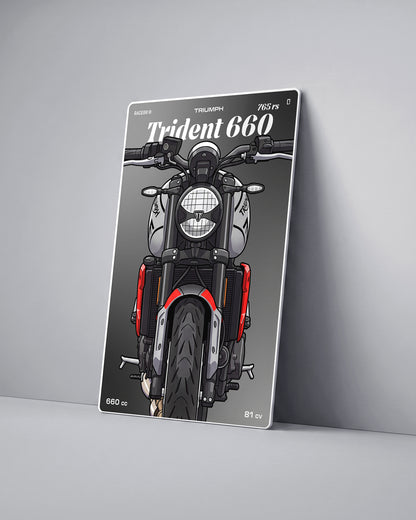Targa "Cartoon" Triumph Trident 660 [2024+]